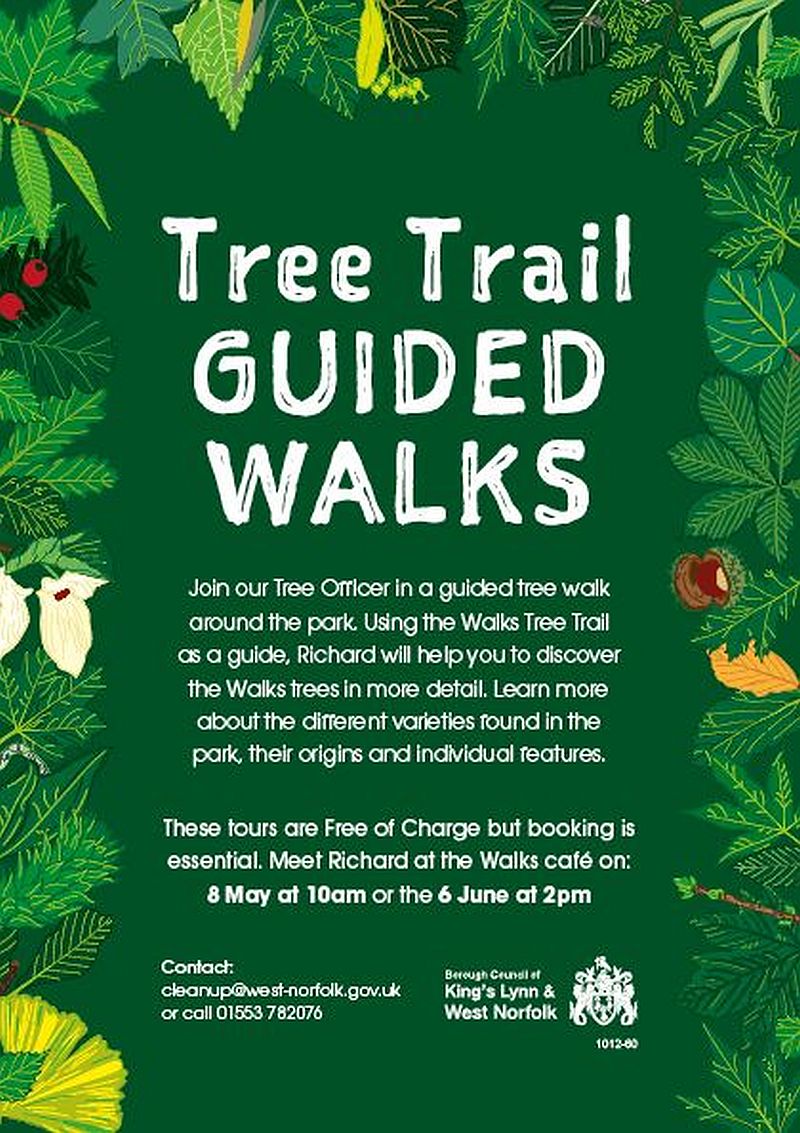 Tree Trail Guided Walks
